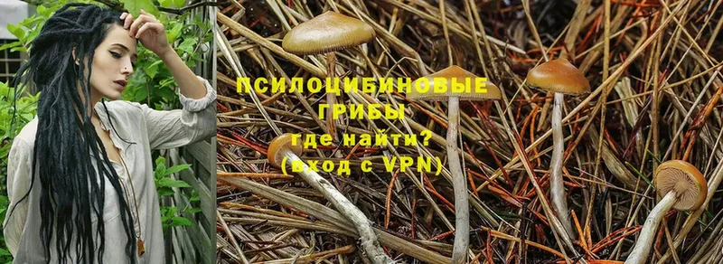 Галлюциногенные грибы MAGIC MUSHROOMS  Калач-на-Дону 