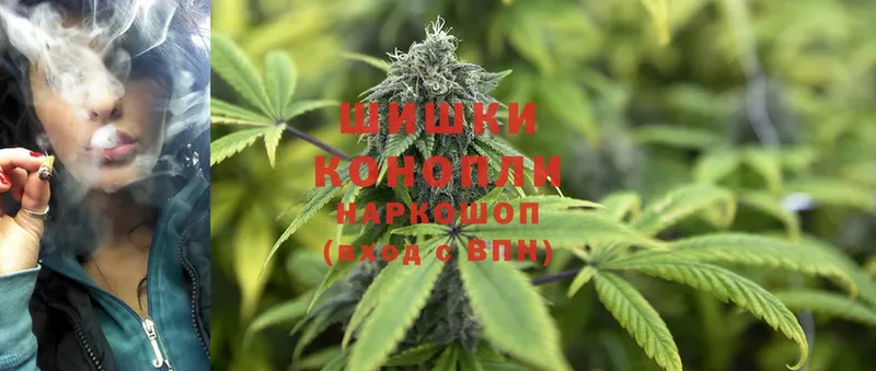 магазин    Калач-на-Дону  hydra ссылки  Каннабис White Widow 